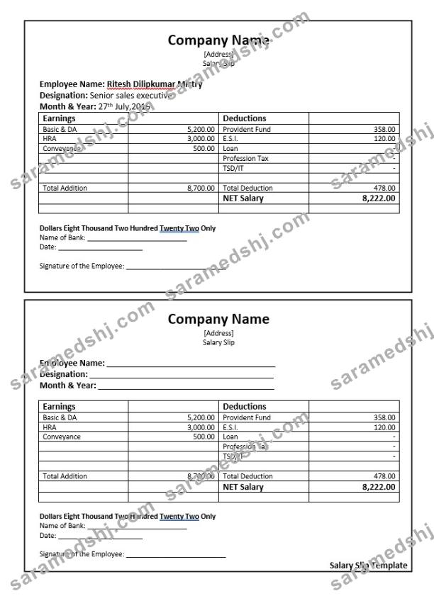 senior sales executive salary slip Word and PDF template screen